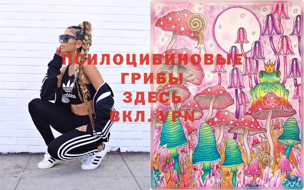 герыч Вязники