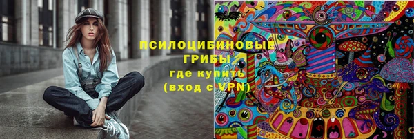 герыч Вяземский