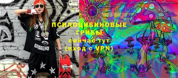 герыч Вяземский
