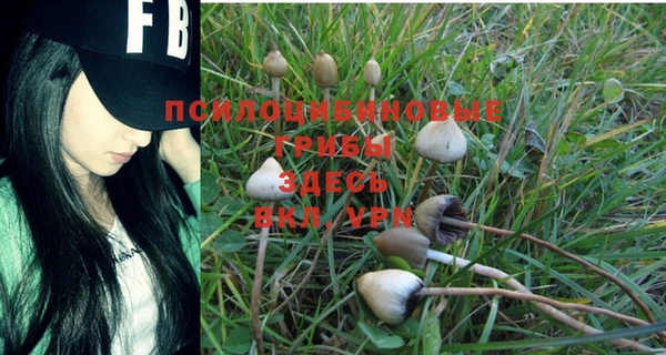 герыч Вязники