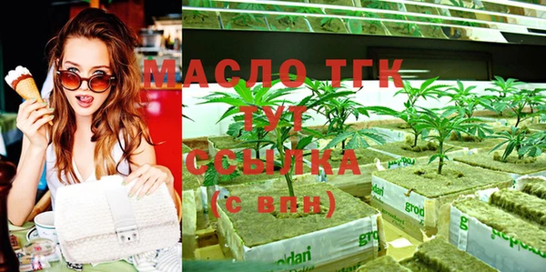 твердый Гусь-Хрустальный