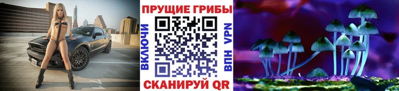 нарко площадка как зайти  Бузулук  Псилоцибиновые грибы мухоморы  где найти  